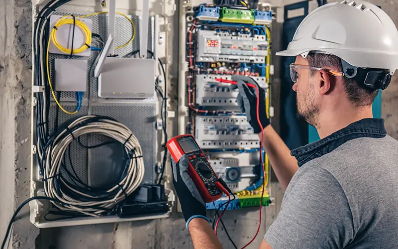 Descripción de la imagen